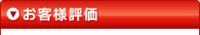 ビジネス評価